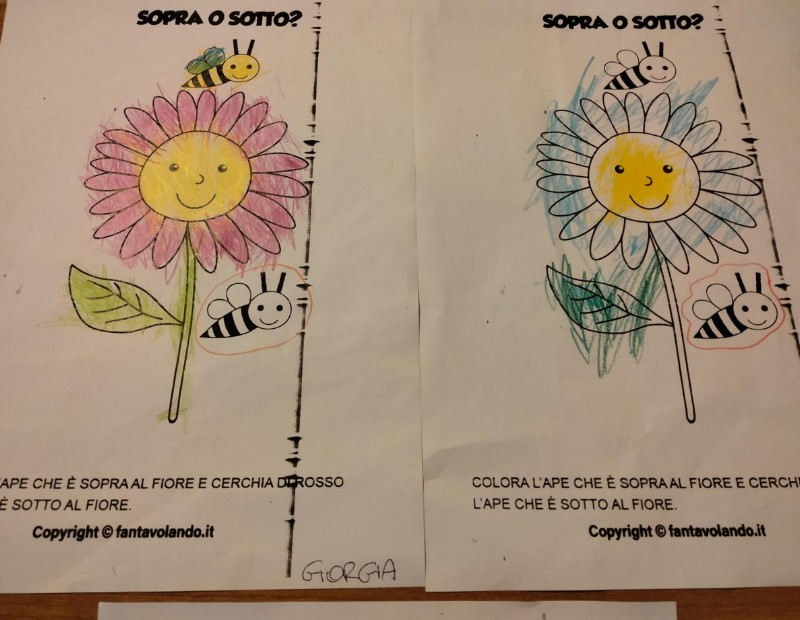 l'Arca di Noè